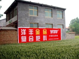  坡头如何让墙体广告展现最大化效果