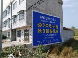  坡头墙体广告质量分析