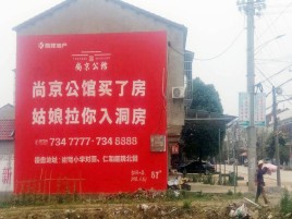  坡头墙体广告在乡镇、农村市场的媒体优势